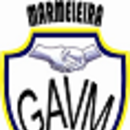 Logo GAVM _